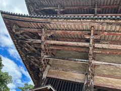 -奈良公园