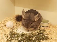 -龙猫仔乐园(惠福东路店)