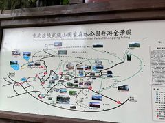 -武陵山森林公园