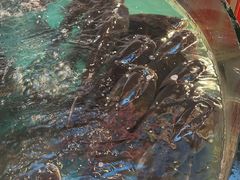 -魏铭鱼头捞饭(晋阳路店)