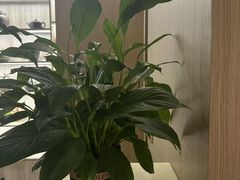 -耳湾躺式采耳SPA馆(保利五月花店)
