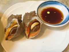 大海螺-日照人家·山东老字号
