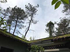 -楠溪江风景名胜区