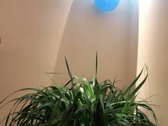 -瑶王府·广西菜(金阳路店)