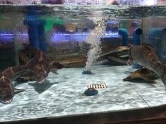 -阿伟海鲜楼·福建菜(延寿店)