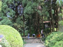 -庐山风景区花径公园