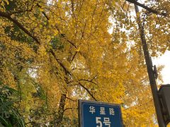 -成都市活水公园