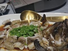 清蒸石斑鱼-婆婆家·湛江特色美食(福田振华路店)
