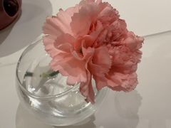 -眉州东坡(北苑华贸店)