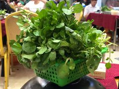 西洋菜-光明清汤羊(宝业路店)