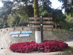 -莫干山风景区