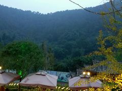 -楠柏弯休闲山庄(梨花溪店)