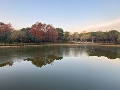 -黄兴公园