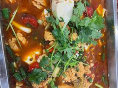 -东吴霸王兔(松青路店)