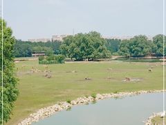 -北京麋鹿生态实验中心