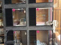 -MOLLY'S萌宠生活馆