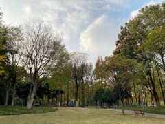 -后襄河公园