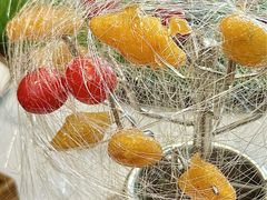 -郭靖内蒙菜·烤全羊·烧烤(望京旗舰店)