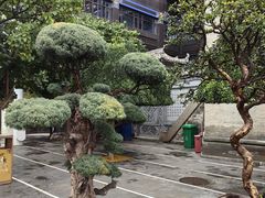 -西宁市东关清真大寺