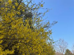 -北京西山国家森林公园