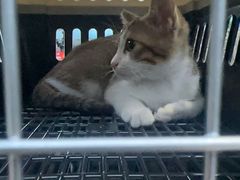 -博特宠物医院24h犬猫全科.骨科·异宠