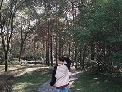 -黑龙江省森林植物园