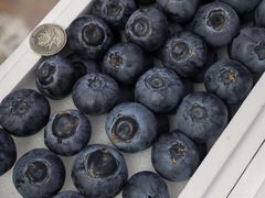 -哈尔信阳光农园超市(沈阳三台子万象汇店)