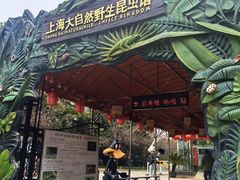 -上海大自然野生昆虫馆(东方明珠·爬宠昆虫探索中心)