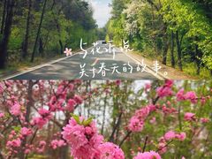 -长春净月潭风景名胜区