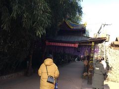 -呀路古热带植物园