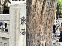 -晋祠公园