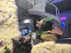 -极木²邸 人与宠物·互动社区