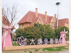 -大塘金香草谷