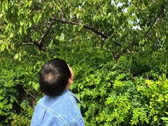 -大连北马山庄