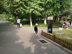 -丰台花园
