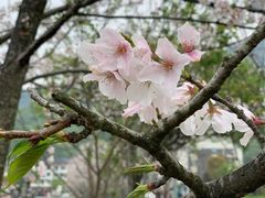 -泽雅景区