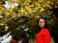 -千年银杏谷文化旅游区