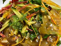 东北大拉皮-白天鹅家宴·东北菜