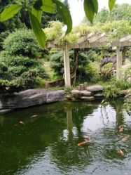 -长沙小顽国景区