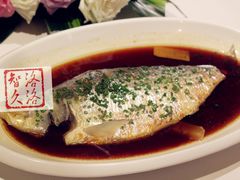 蒸鲥鱼-西郊5号·Maggie 5