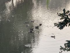 -元大都城垣遗址公园