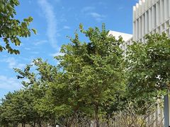 -深圳大学(丽湖校区)