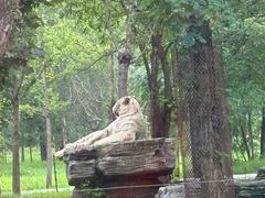 -秦皇岛野生动物园