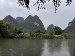-大师傅金奖啤酒鱼(西街老店)