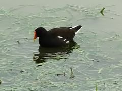 -南宁南湖公园