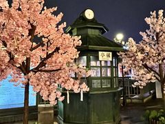 -武汉知音号
