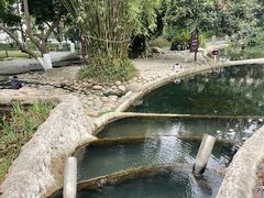 -成都市活水公园