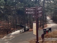 -北京西山国家森林公园