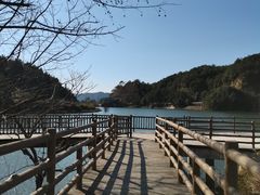 -梁野山景区