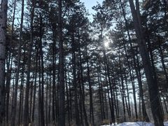 -长春净月潭风景名胜区